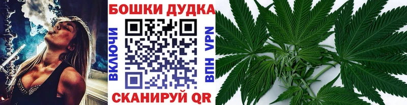 Бошки марихуана сатива  купить наркотики цена  Краснозаводск 